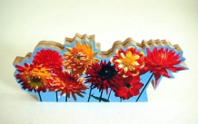 images/productimages/small/dahlias.jpg